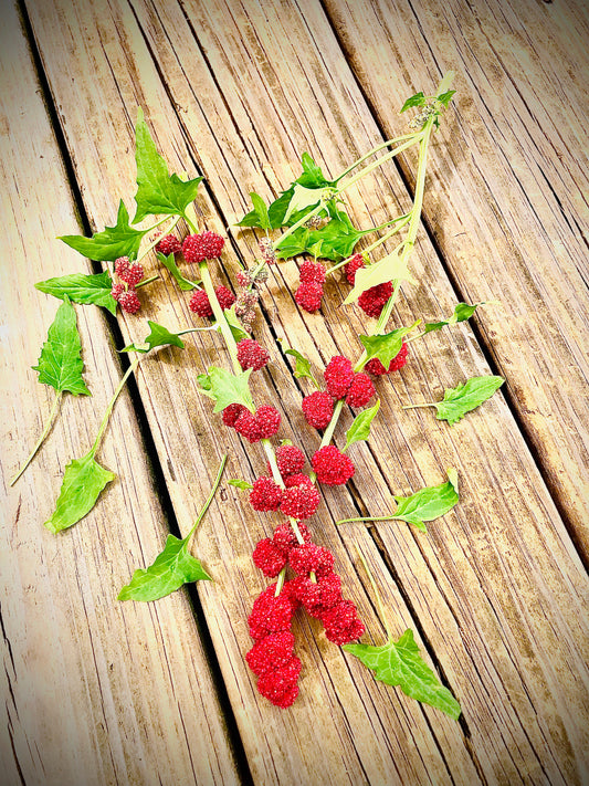 Strawberry Spinach