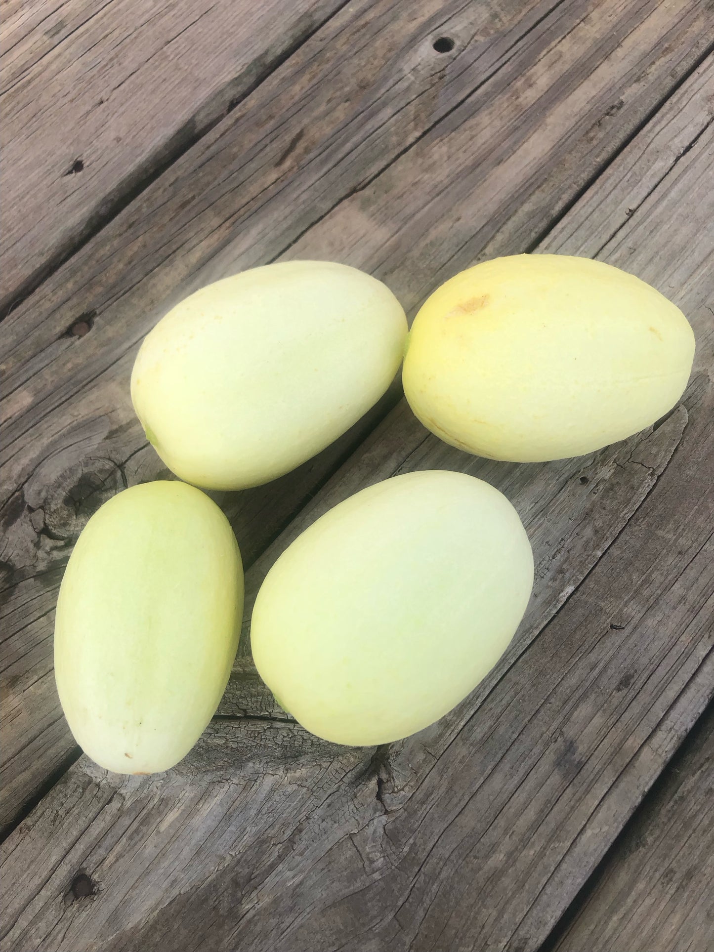 Cucumber Seeds - Dragons Egg