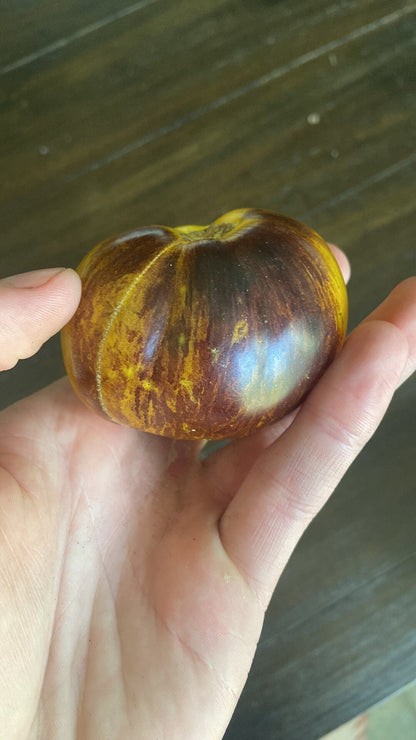 Tomato - Ussuri Tiger