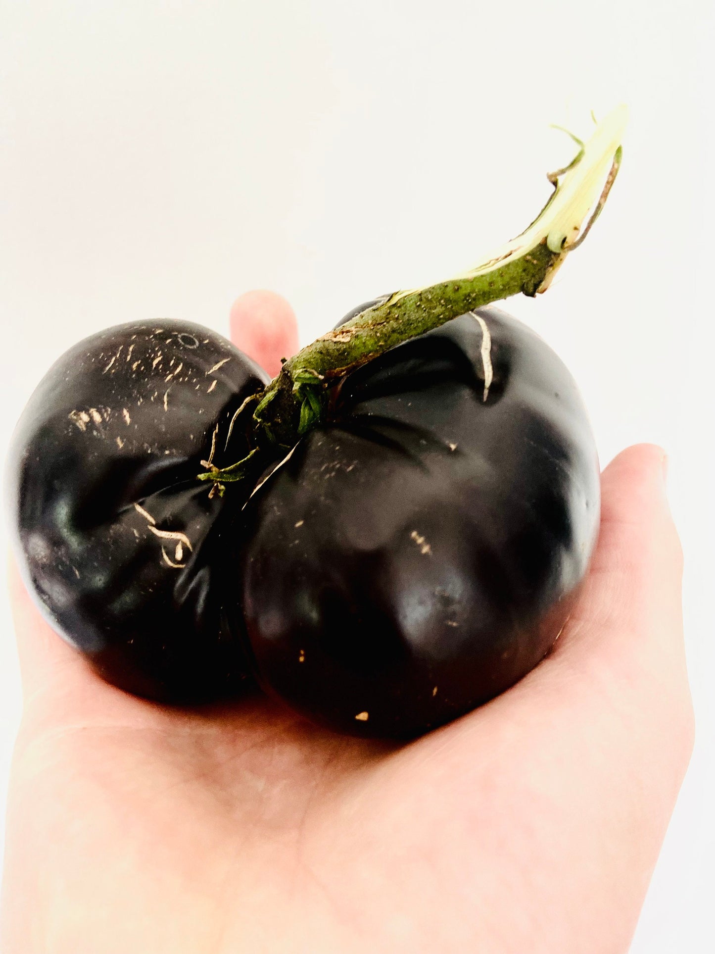 Black Beauty -Non GMO- Heirloom Tomato Seeds (10+ Seeds)