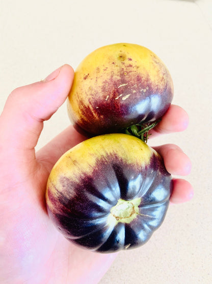 Tomato - Afternoon Delight