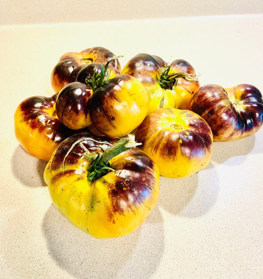 Afternoon Delight-Non GMO- Heirloom Tomato Seeds (10+ Seeds)