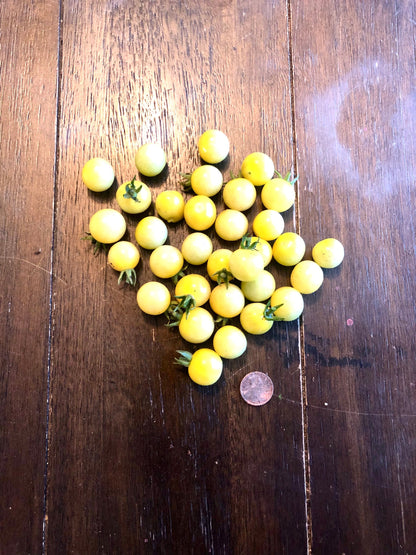 Tomato - Coyote Cherry