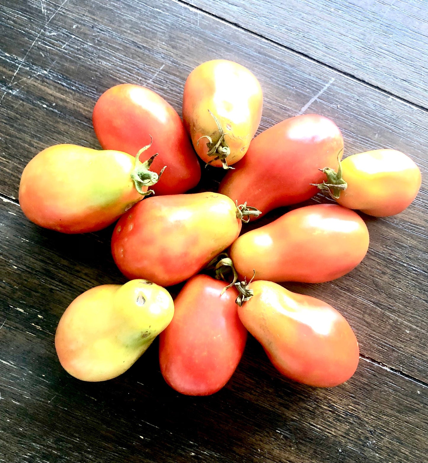 Roma -Non GMO- Heirloom Tomato Seeds (10+ Seeds)