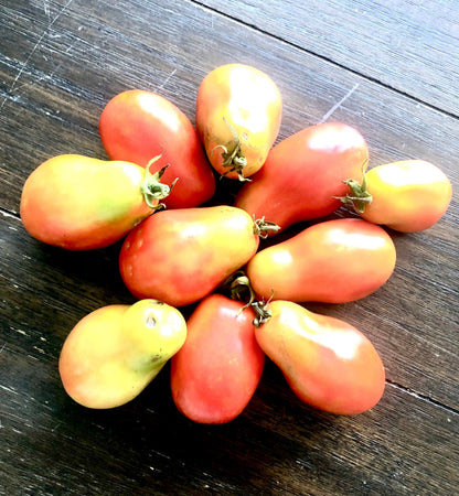 Tomato - Roma