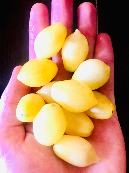 Tomato - Barry’s Crazy Cherry