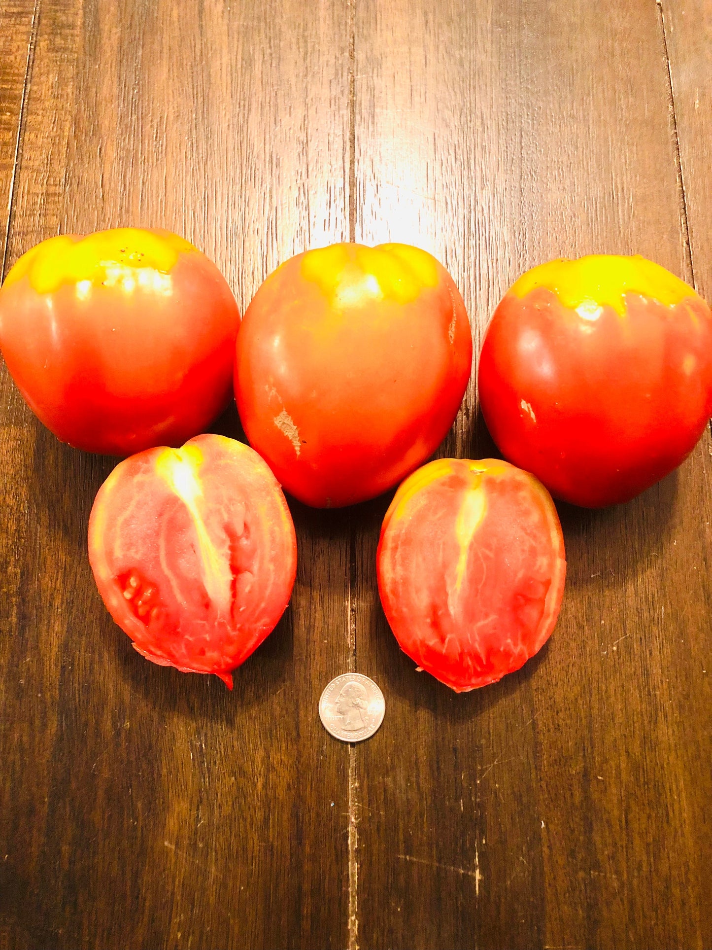 Amish Paste -Non GMO- Heirloom Tomato Seeds (10+ Seeds)