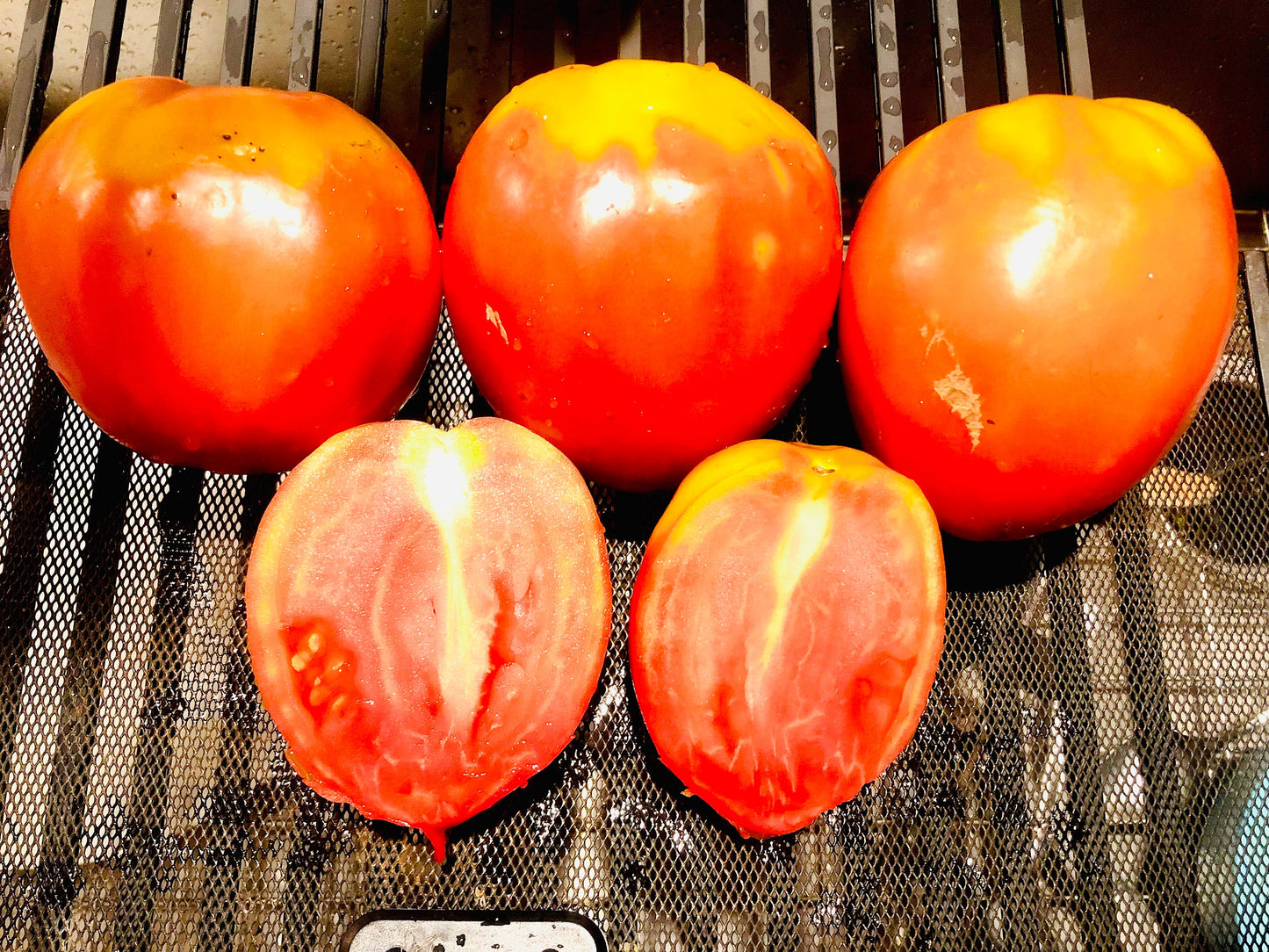 Amish Paste -Non GMO- Heirloom Tomato Seeds (10+ Seeds)