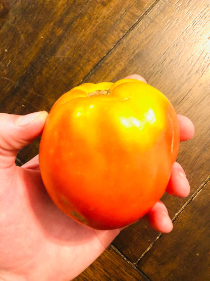 Tomato - Amish Paste