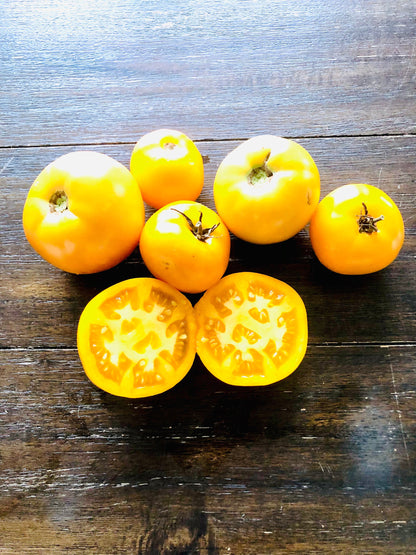 Tomato - Golden Jubilee