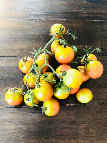 Tomato - Rebel Alliance