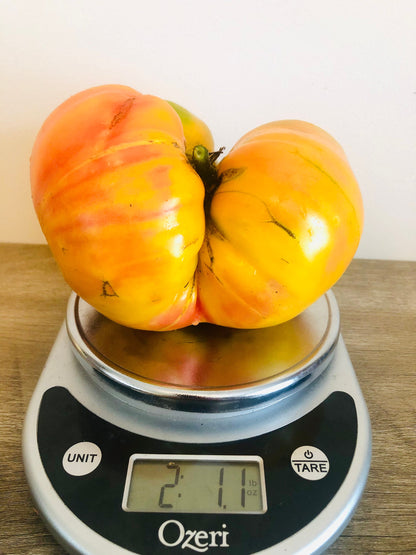 Tomato - Mr. Stripey