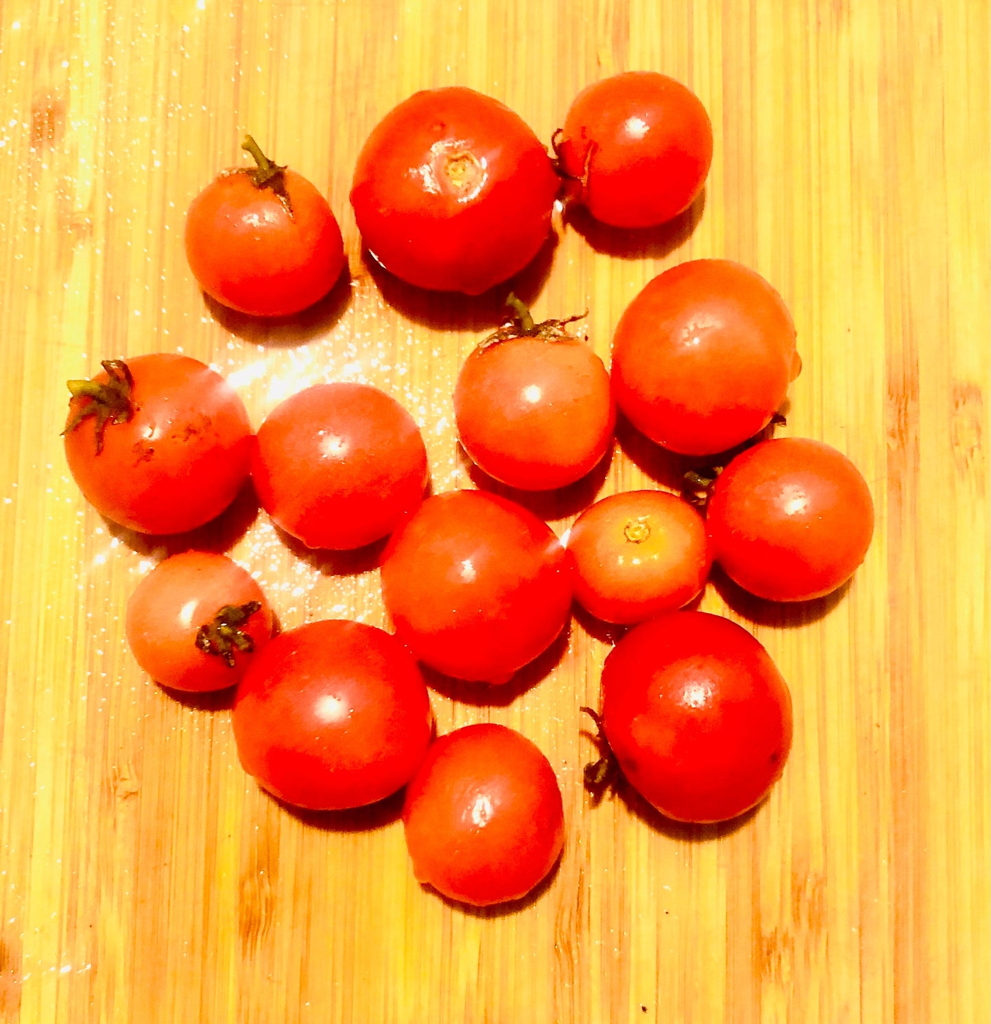 Rejina Red Micro Dwarf -NON GMO- Heirloom Tomato Seeds (10+ Seeds)