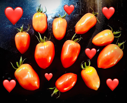 Gardener’s Sweetheart -Non GMO- Heirloom Tomato Seeds (10+ Seeds)