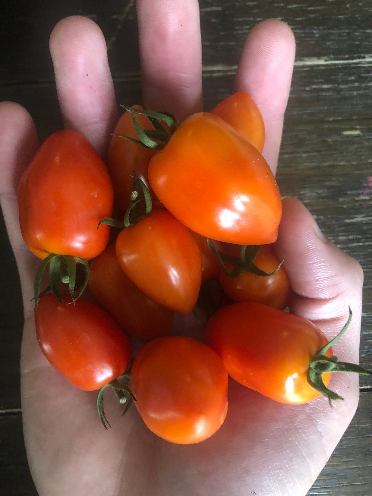 Gardener’s Sweetheart -Non GMO- Heirloom Tomato Seeds (10+ Seeds)