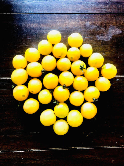 Tomato - Snow White Cherry