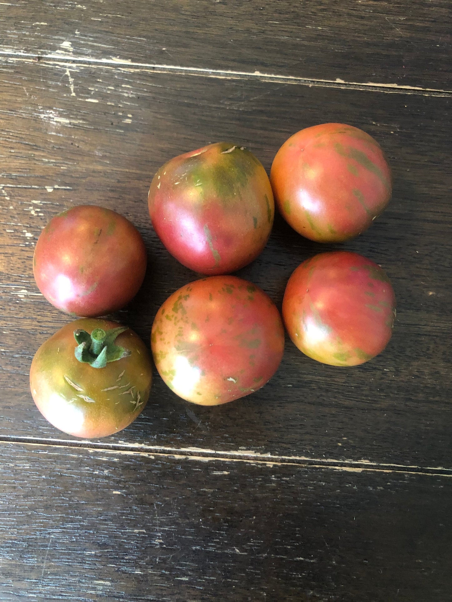 Violet Jasper -Non GMO- Heirloom Tomato Seeds (10+ Seeds)