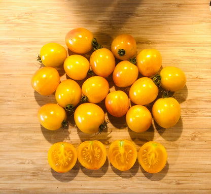 Tomato - Sunrise Bumblebee