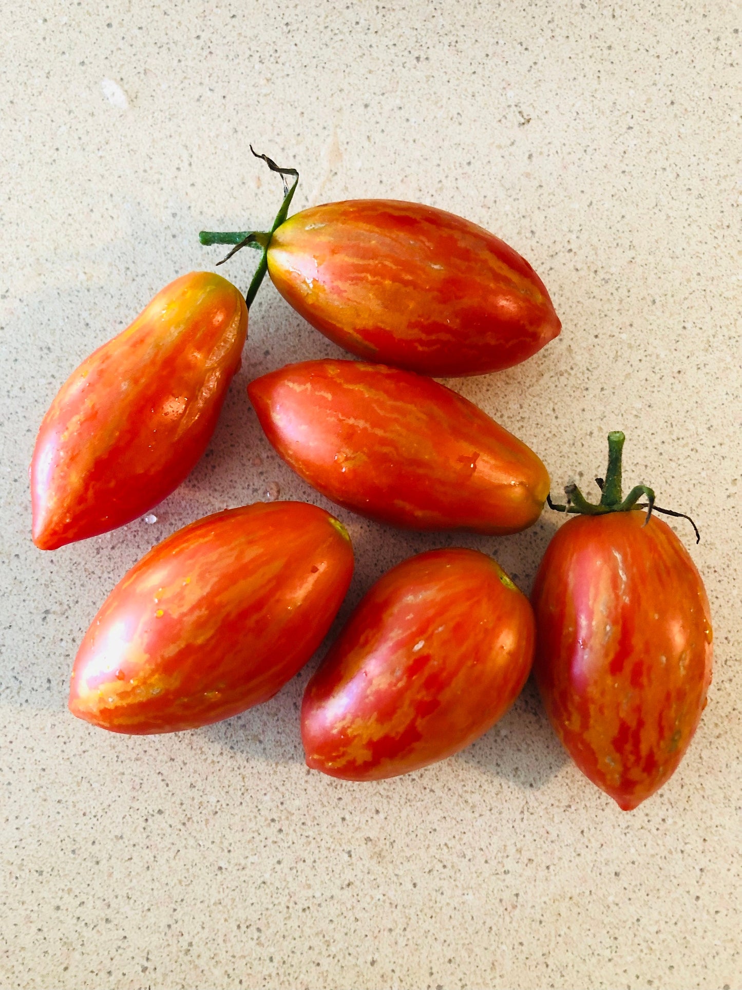 Prairie Fire -Non GMO- Heirloom Tomato Seeds (10+ Seeds)