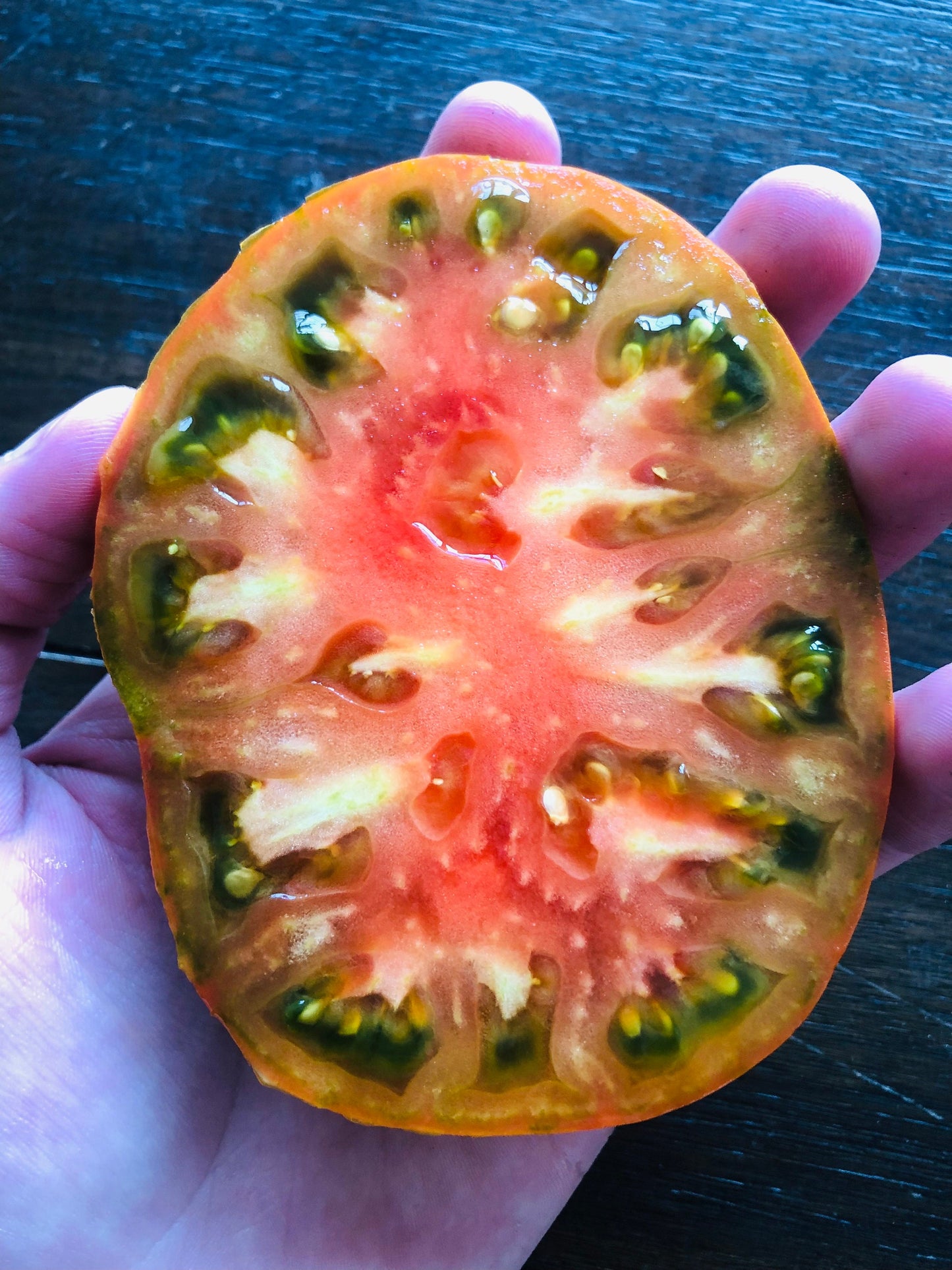 Thorburns Terra Cotta -Non GMO- Heirloom Tomato Seeds (10+ Seeds)