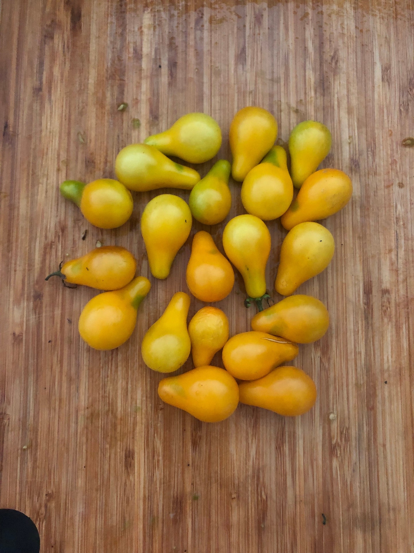 Yellow Pear -Non GMO- Heirloom Tomato Seeds (10+ Seeds)