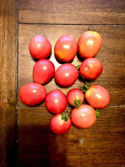 Pearly Pink Cherry -Non GMO- Heirloom Tomato Seeds (10+ Seeds)