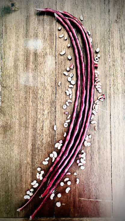 Bean - Chinese Red Noodle