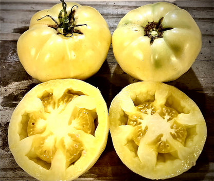 Tomato - White Tomesol