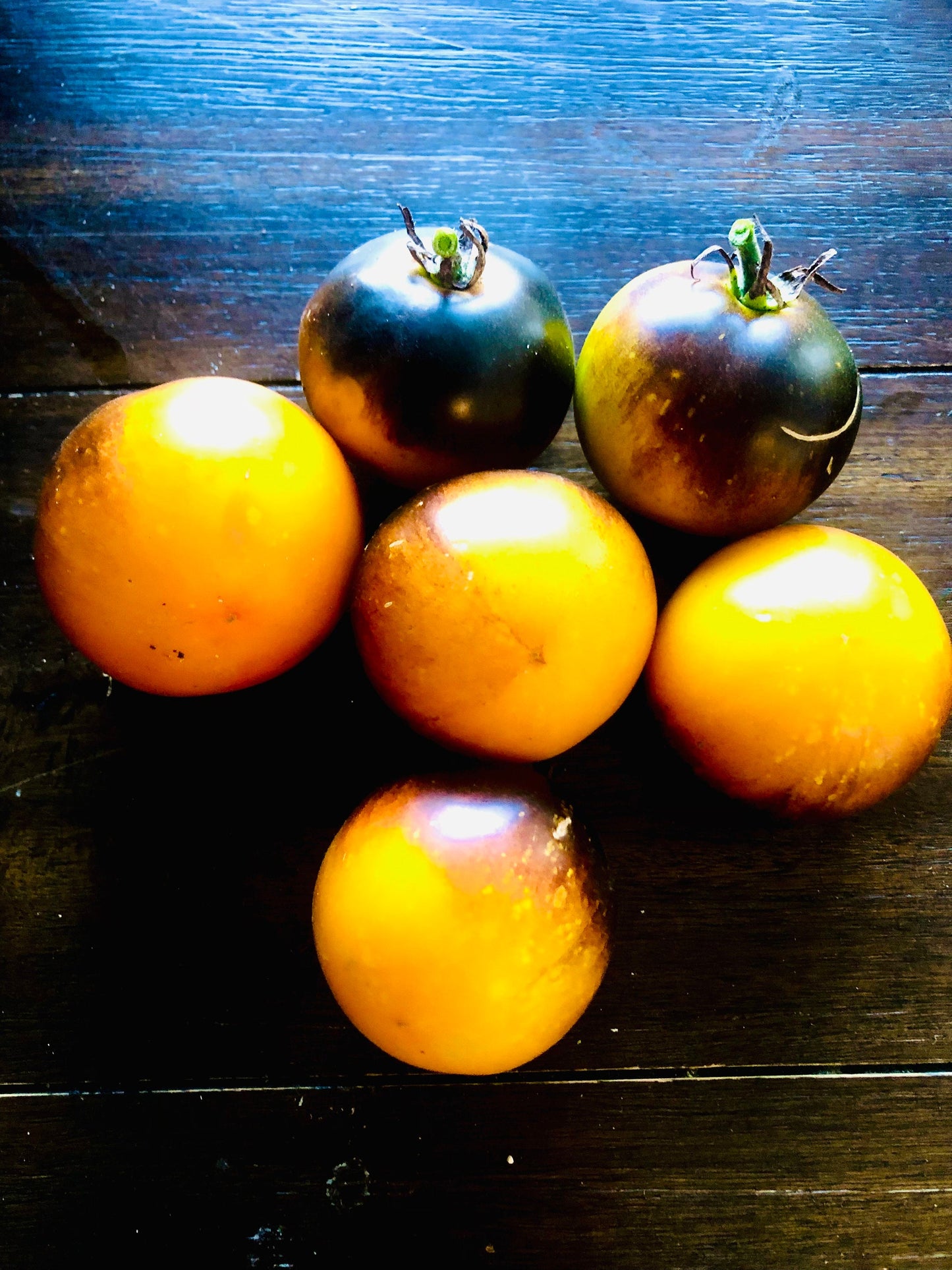 Orange Blue -Non GMO- Heirloom Tomato Seeds (10+ Seeds)