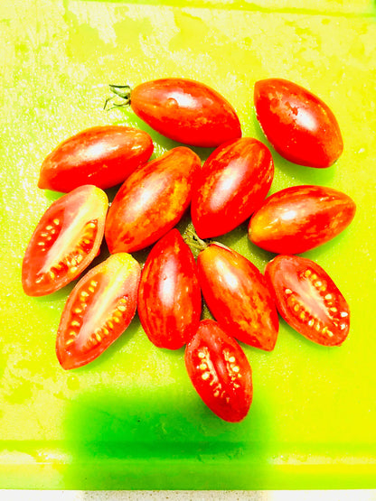 Tomato - Prairie Fire