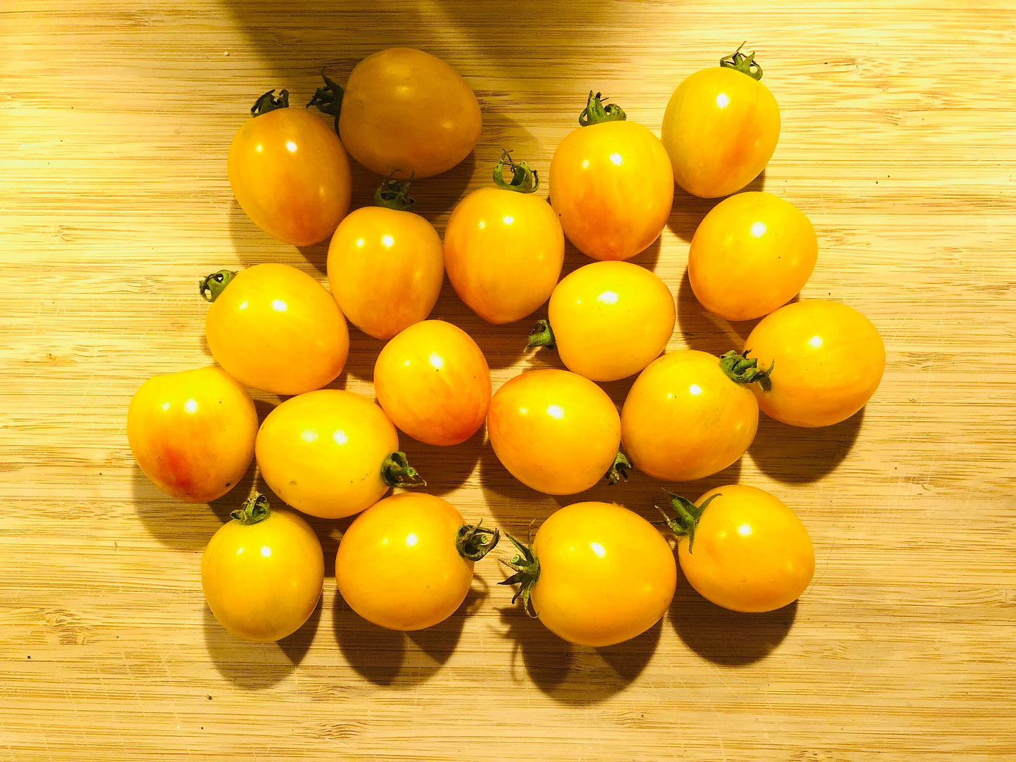 Sunrise Bumblebee -Non GMO- Heirloom Tomato Seeds (10+ Seeds)