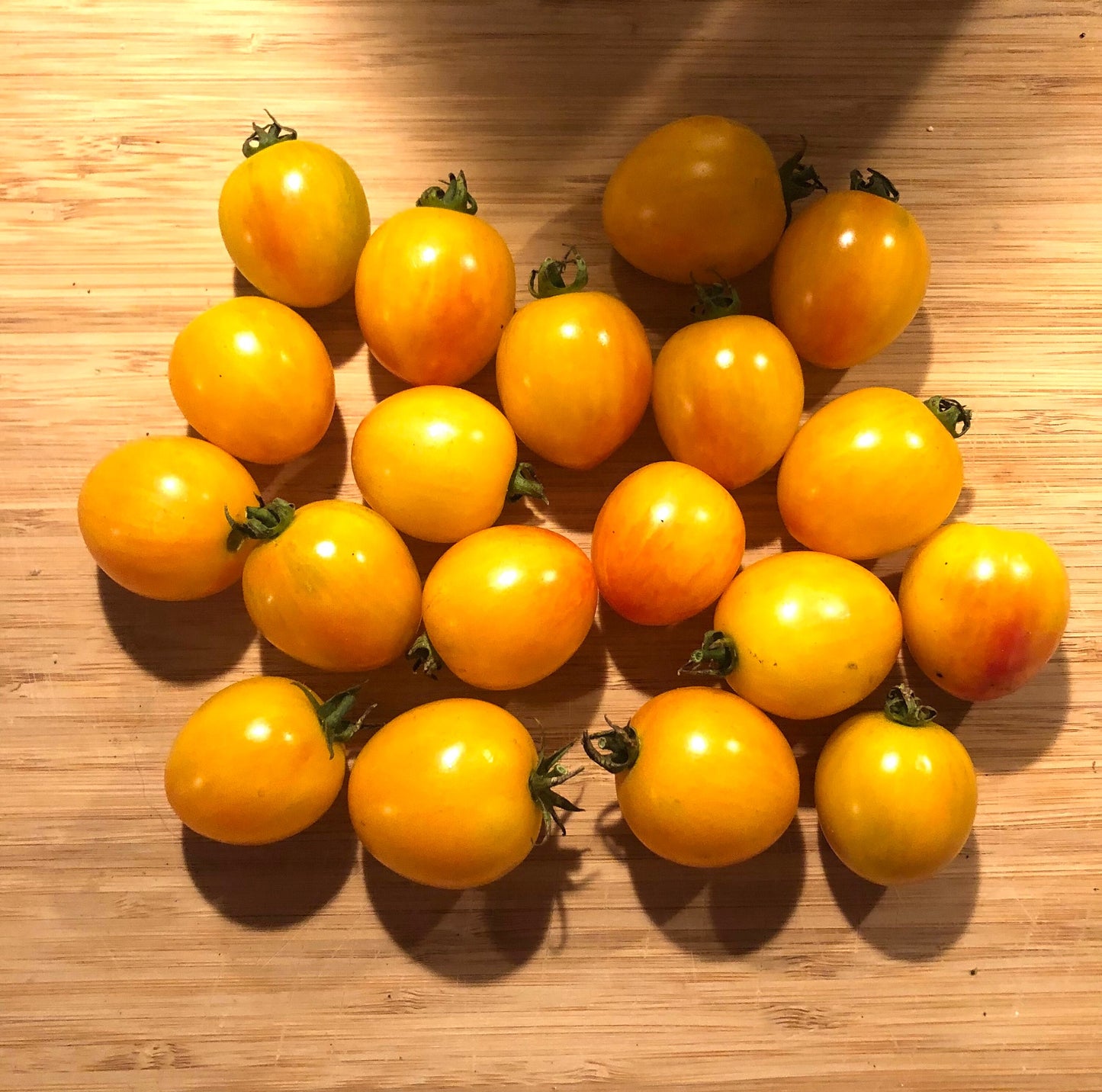 Sunrise Bumblebee -Non GMO- Heirloom Tomato Seeds (10+ Seeds)