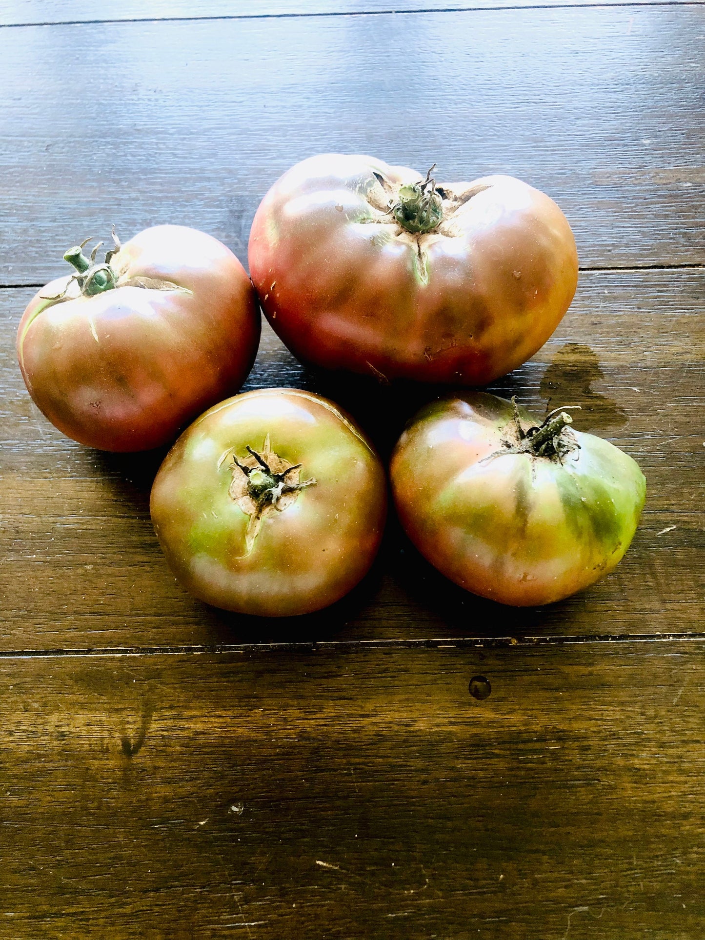 Cherokee Purple -Non GMO- Heirloom Tomato Seeds (10+ Seeds)