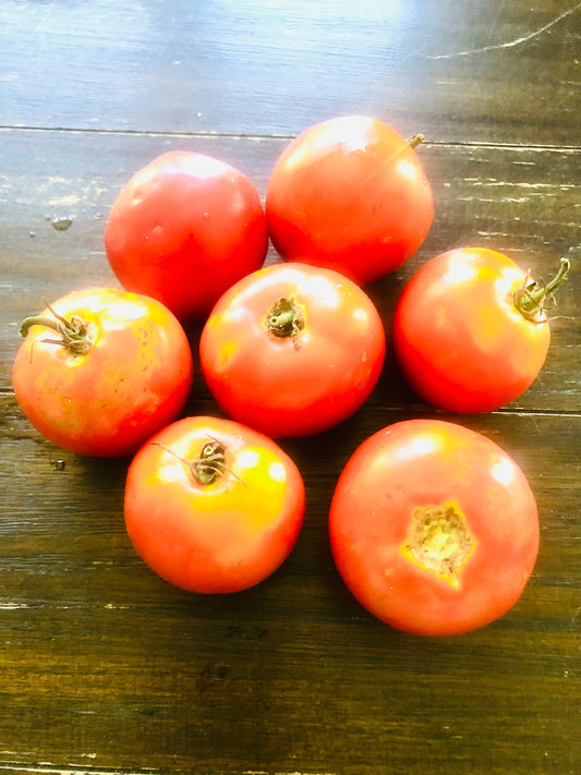 Rutgers -Non GMO- Heirloom Tomato Seeds (10+ Seeds)