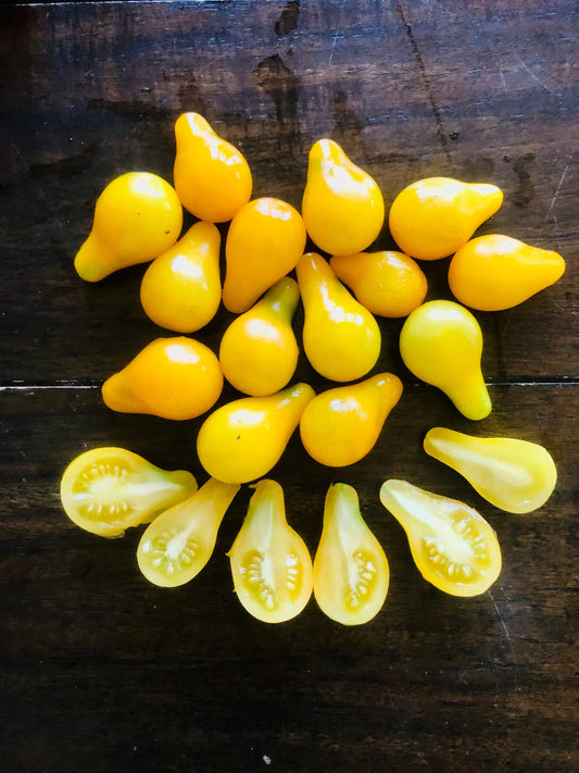 Yellow Pear -Non GMO- Heirloom Tomato Seeds (10+ Seeds)