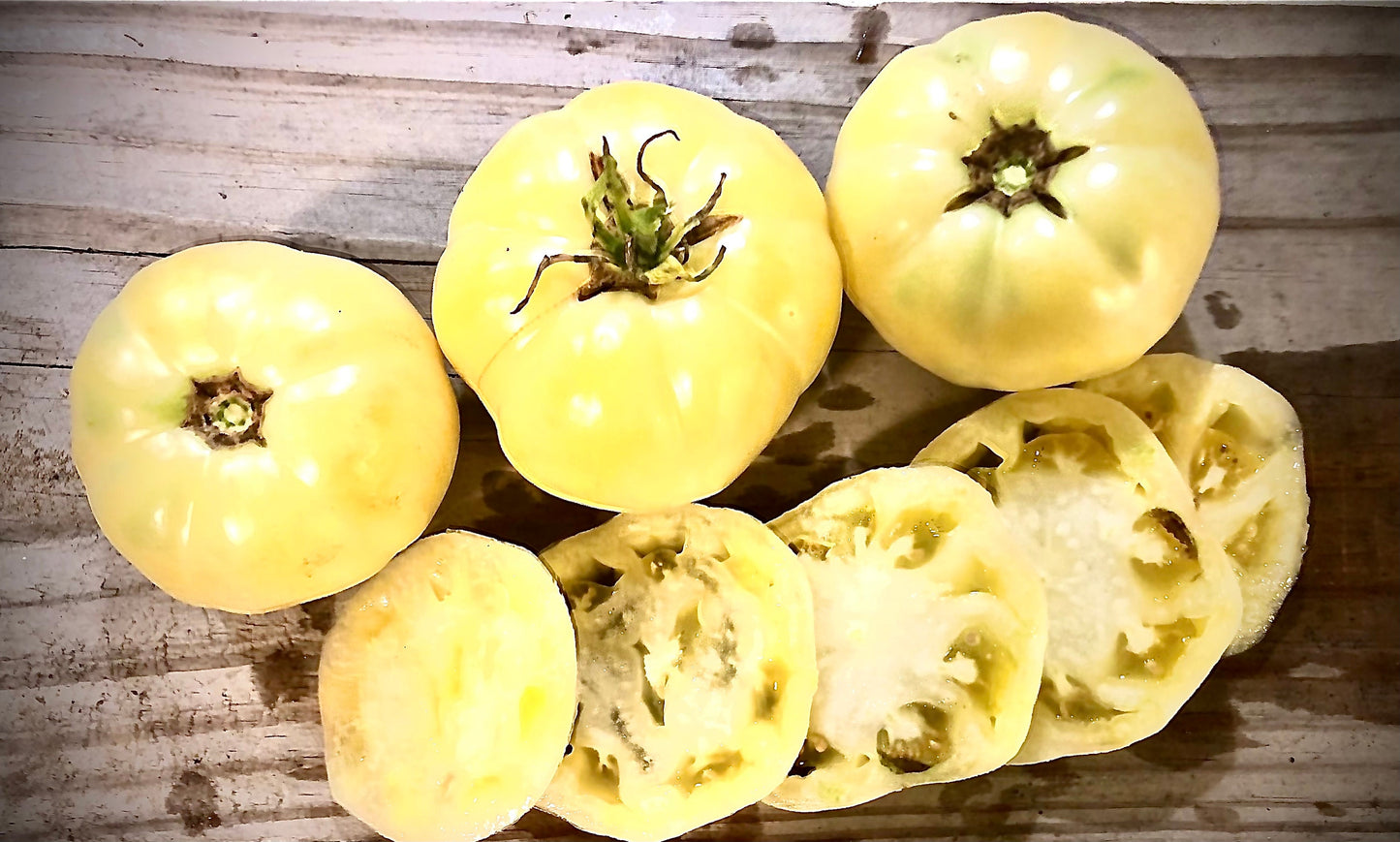 White Tomesol -Non GMO- Heirloom Tomato Seeds (10+ Seeds)