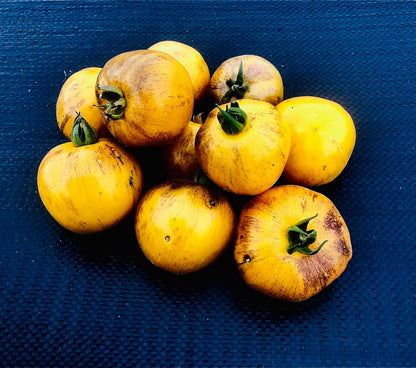 Tomato - Primary Colors