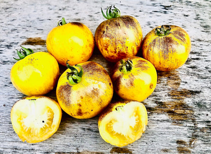 Tomato - Primary Colors