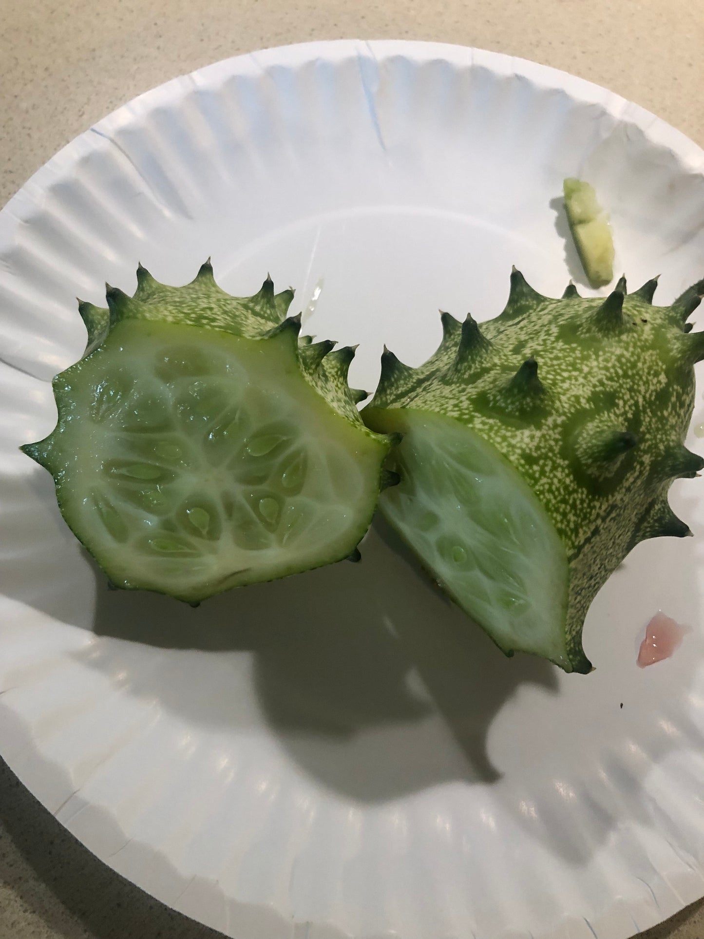 African Horned Cucumber - Kiwano Melon (10+ Seeds)