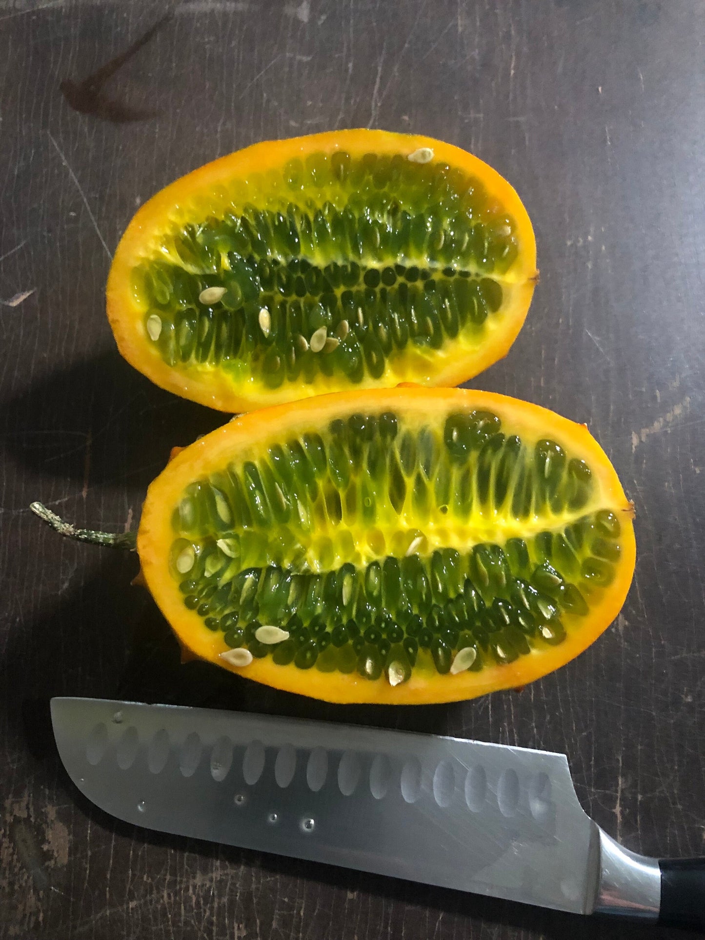 African Horned Cucumber - Kiwano Melon (10+ Seeds)