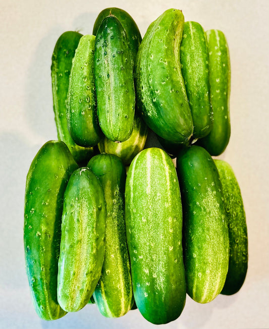 Marketmore 76 Cucumber (10+ Seeds)