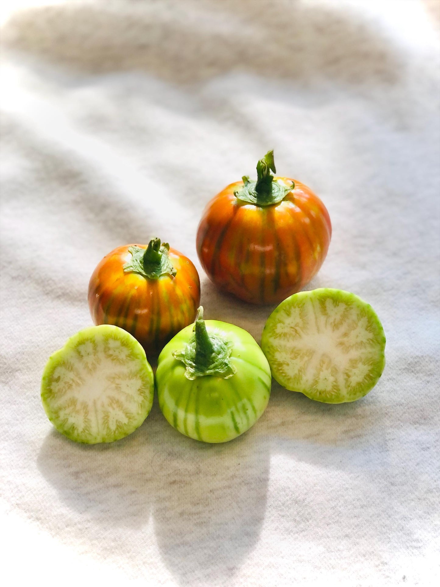 Eggplant Seeds - Turkish Orange