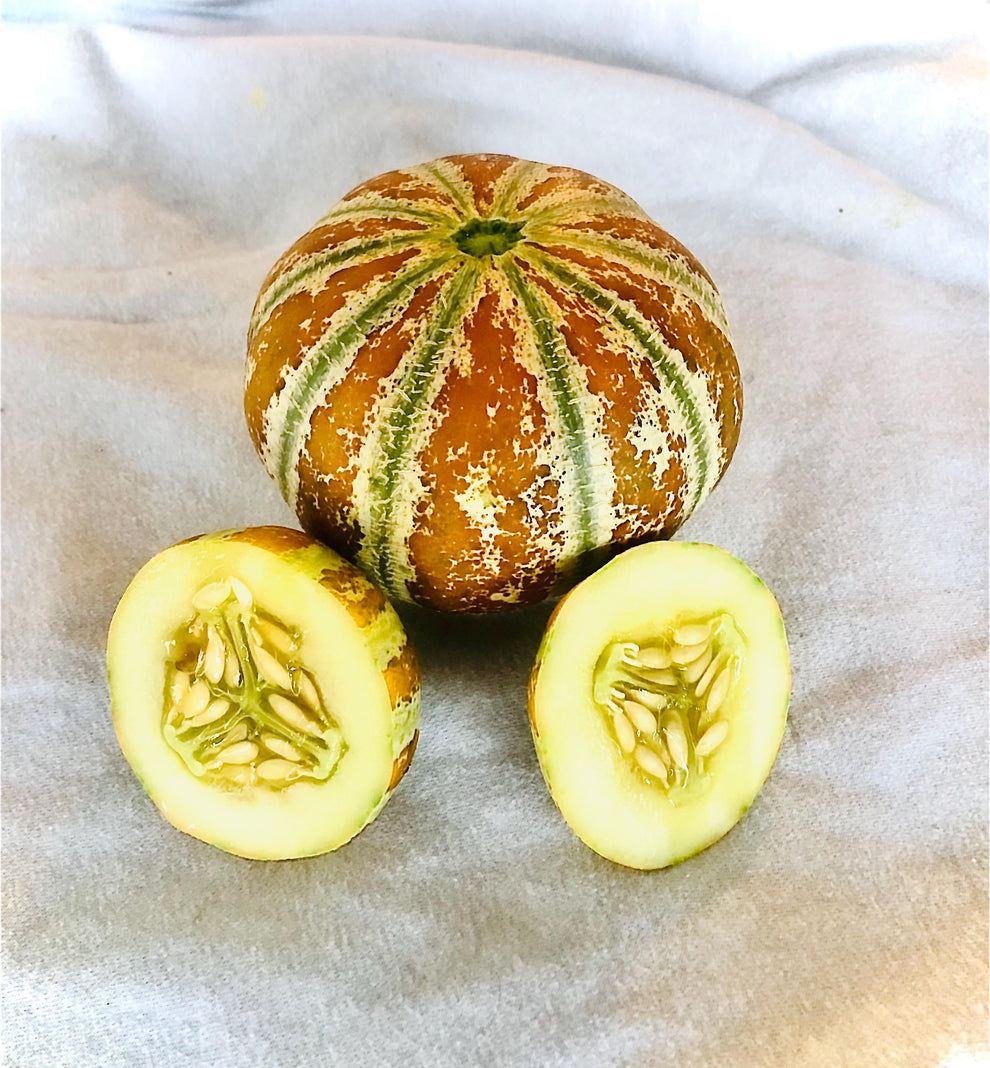 Melon - Kajari – Beebe Seed Co