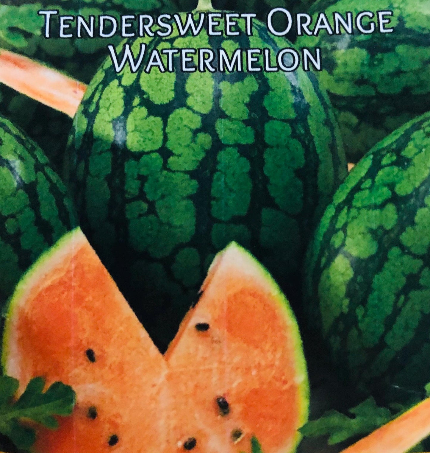 Tendersweet Orange - Watermelon Seeds