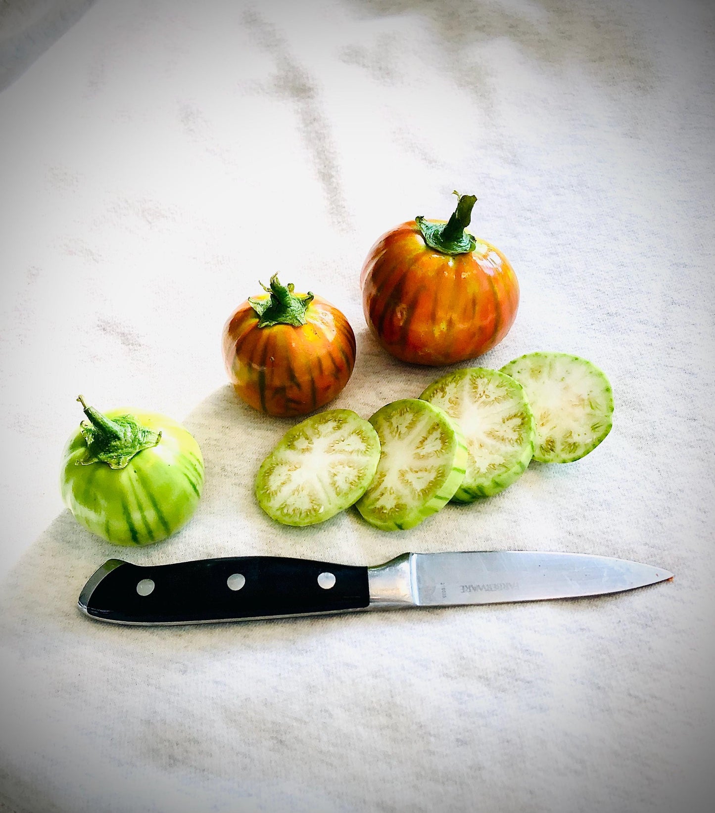 Eggplant Seeds - Turkish Orange