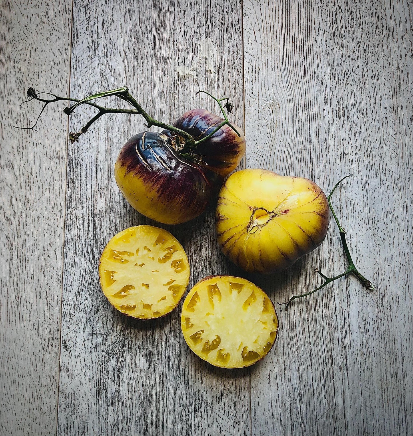 Sart Roloise - Tomato Seeds