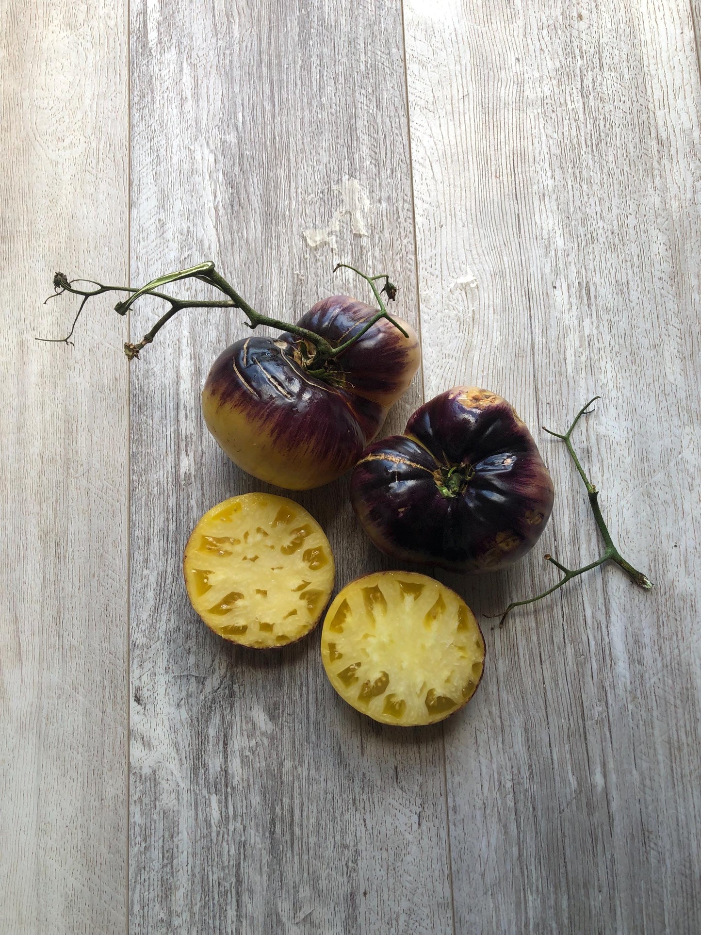 Sart Roloise - Tomato Seeds