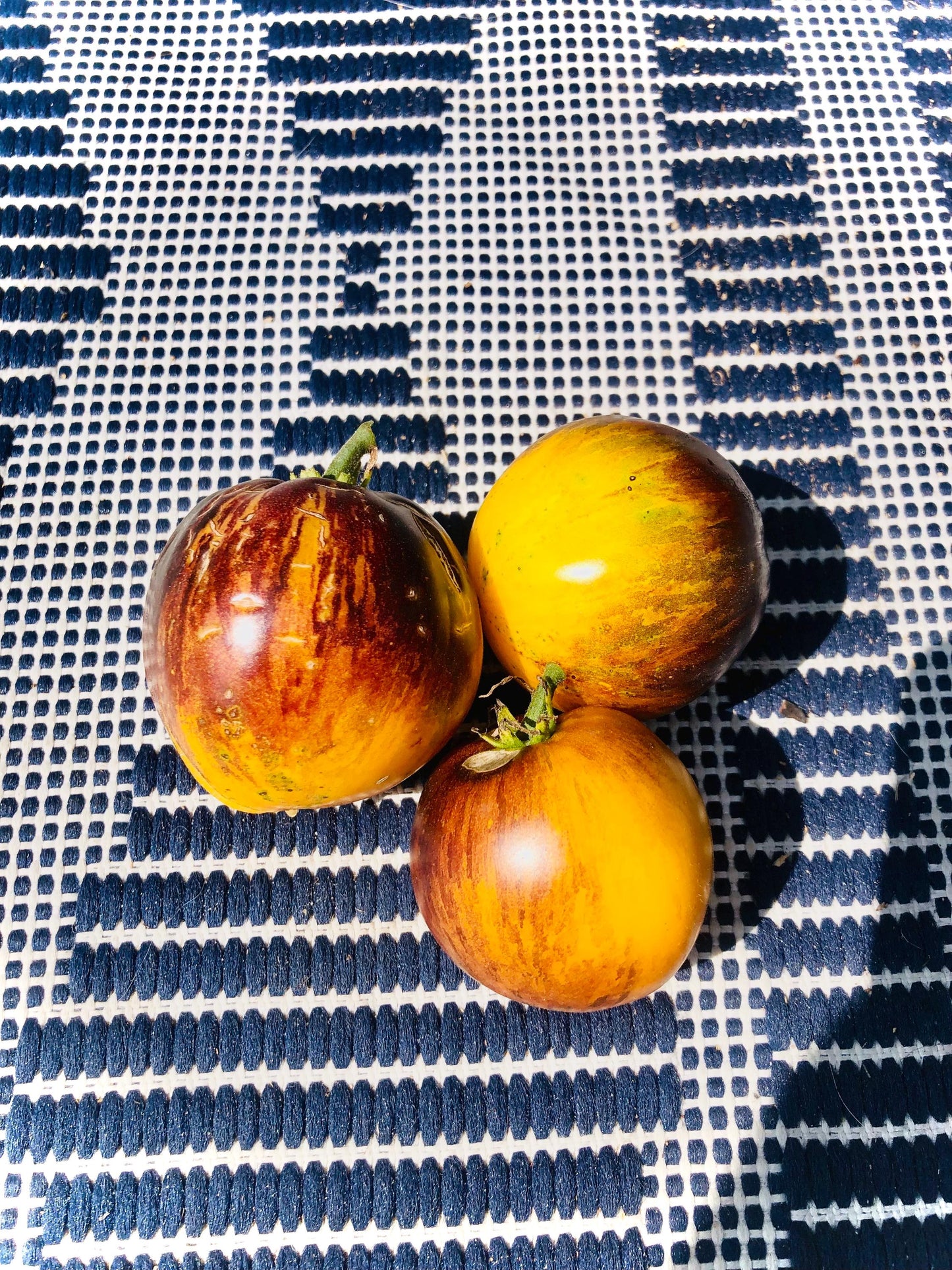 New Galaxy - Tomato Seeds