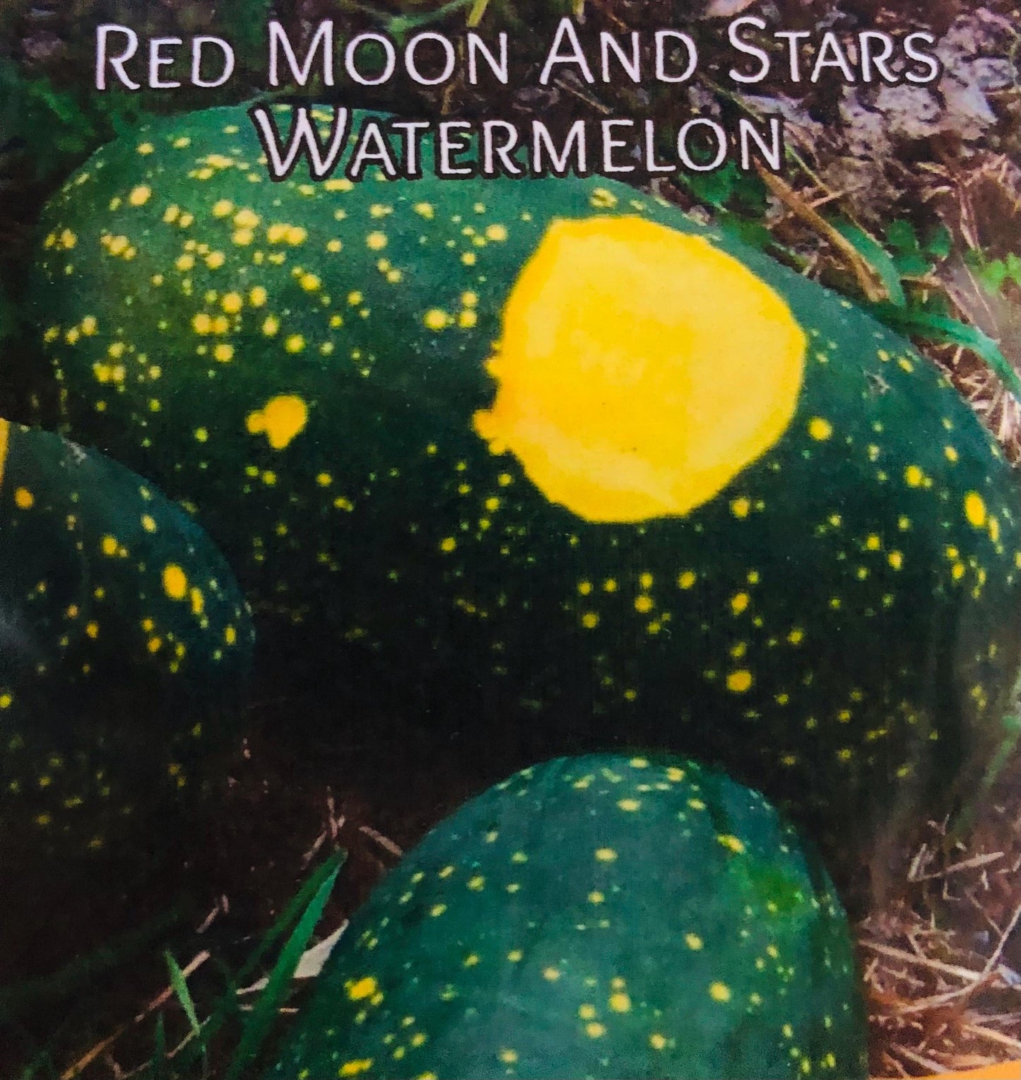 Moon And Stars - Watermelon Seeds