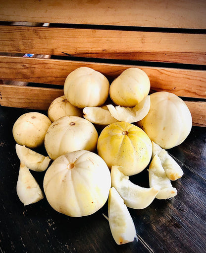 Melon- Kiku chrysanthemum